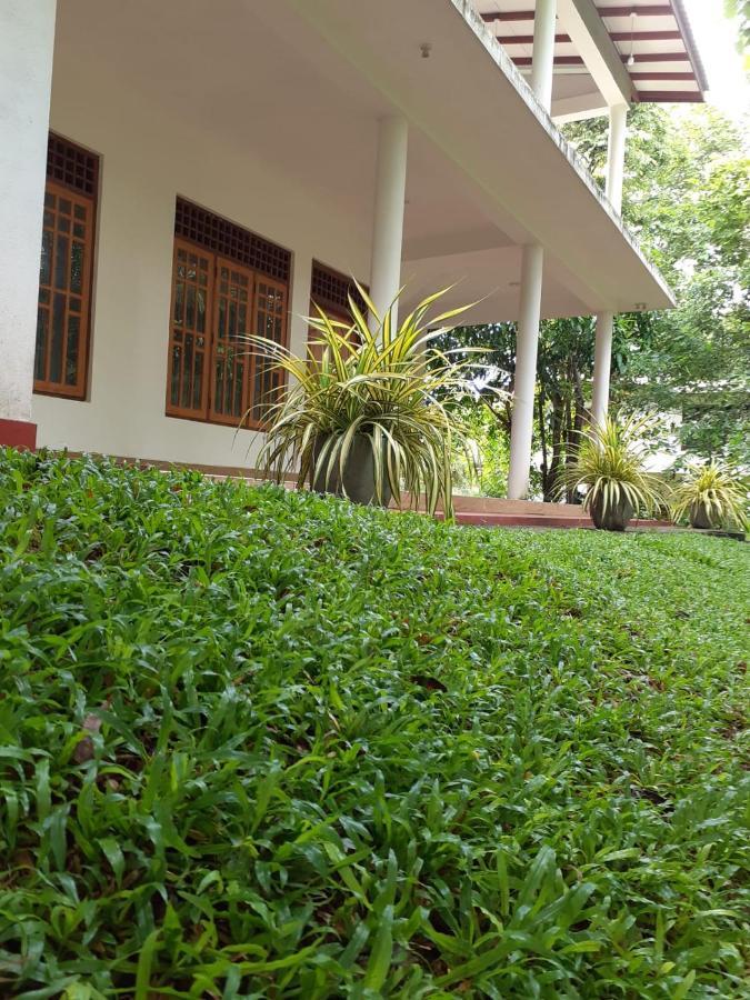 Yonara Green Rest Habarana Ngoại thất bức ảnh