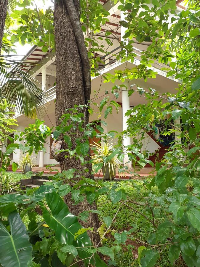 Yonara Green Rest Habarana Ngoại thất bức ảnh