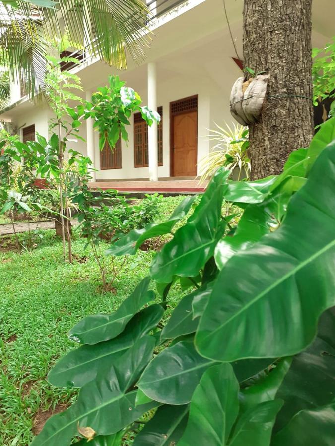 Yonara Green Rest Habarana Ngoại thất bức ảnh